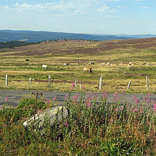 mont lozere